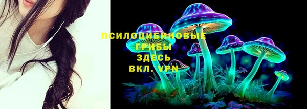 молекула духа Волоколамск