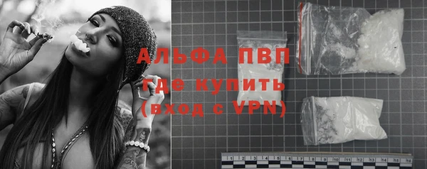 молекула духа Волоколамск