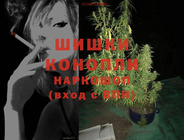 молекула духа Волоколамск