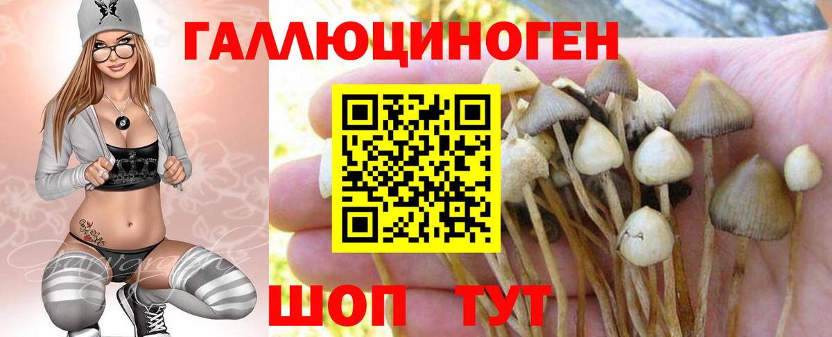 Галлюциногенные грибы MAGIC MUSHROOMS  закладка  Дзержинский  Вход с VPN  Галлюциногенные грибы MAGIC MUSHROOMS 