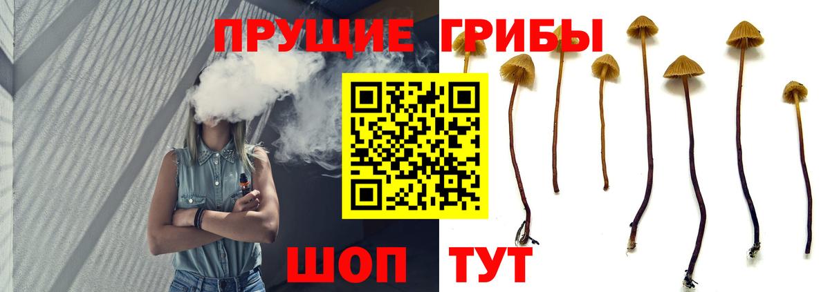 Псилоцибиновые грибы прущие грибы Дзержинский